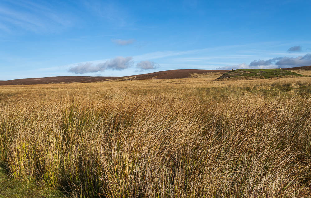 Millstone Edge Millstone Edge